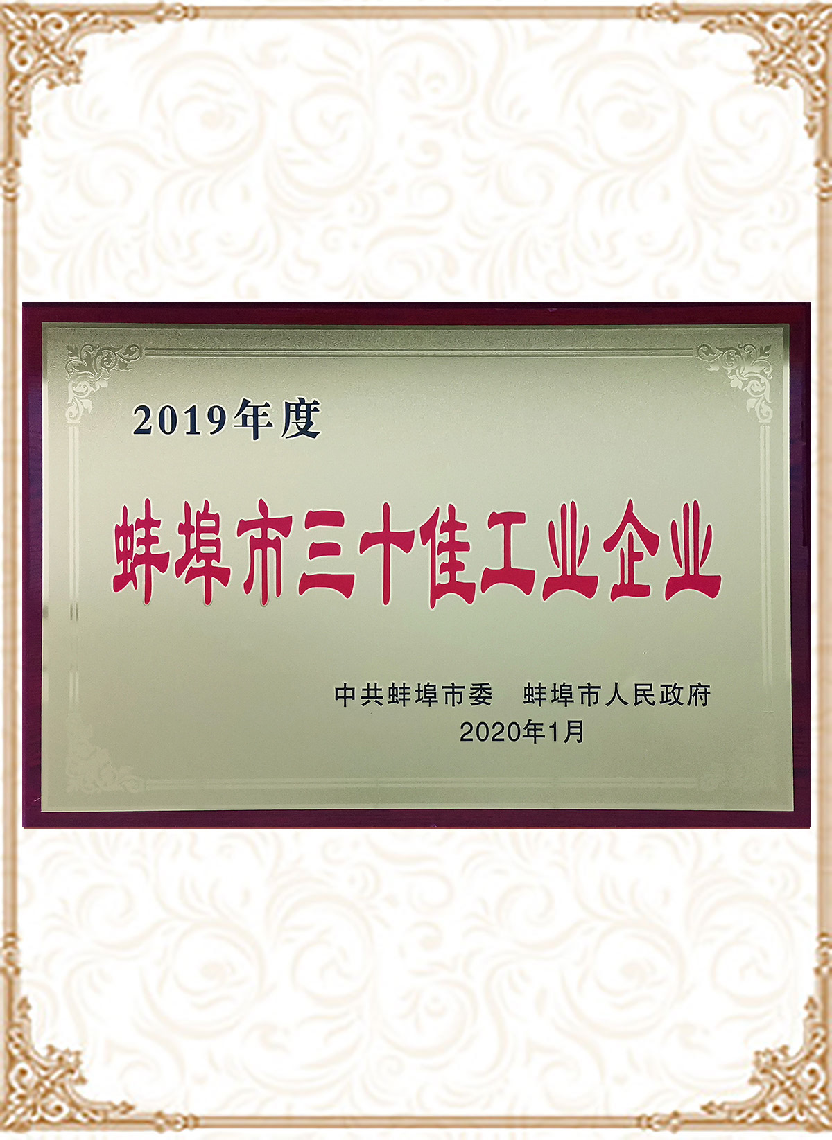 蚌埠市三十佳工業企業